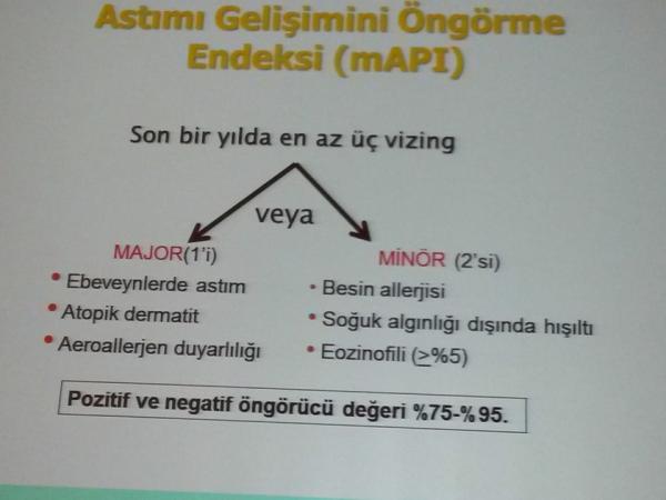 ASTIM GELİŞİM RİSK HESABI