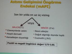 ASTIM GELİŞİM RİSK HESABI